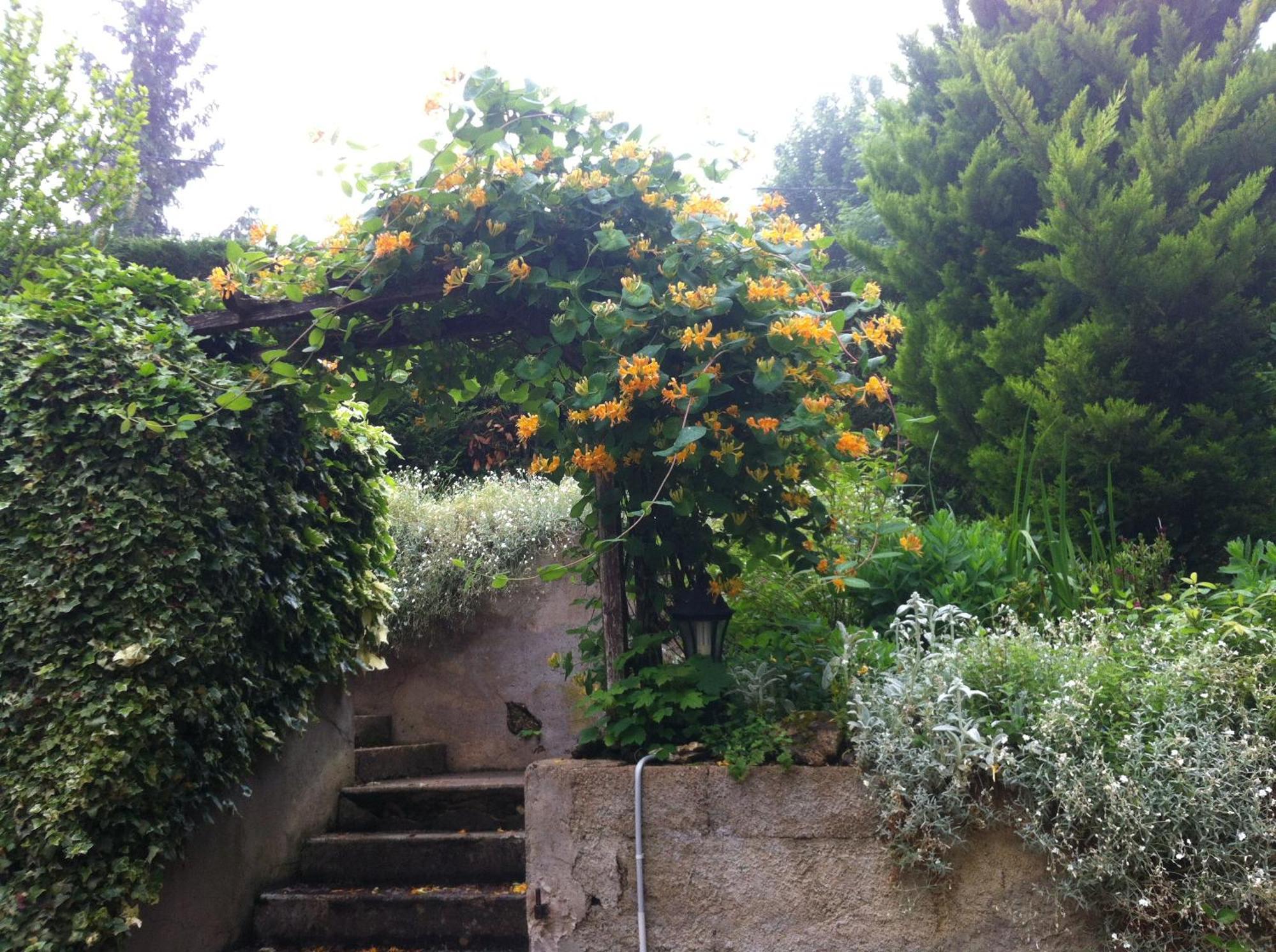 Ma Demeure Le Gue-de-Longroi Exterior foto